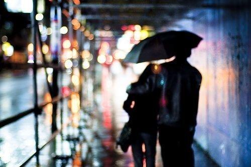 我是一片叶子