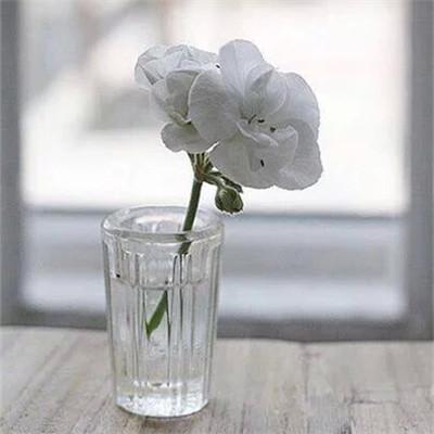不想走向人生低谷，这三点需要丢弃