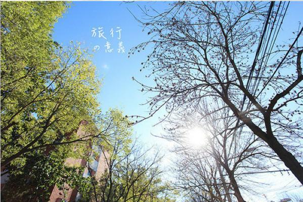 一抹阳光里的初心