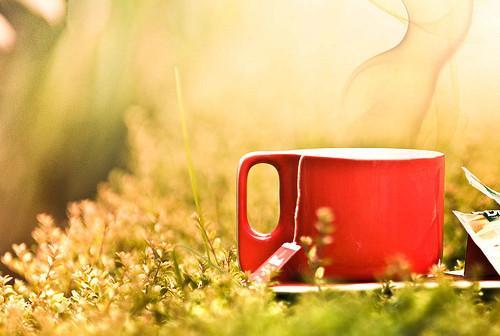 富平特产龙培茶广告语、宣传语