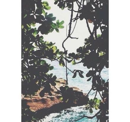 梦若碎影 花间展