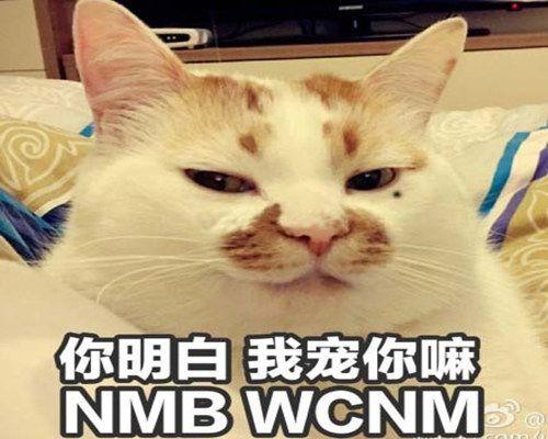 宝贝我爱你