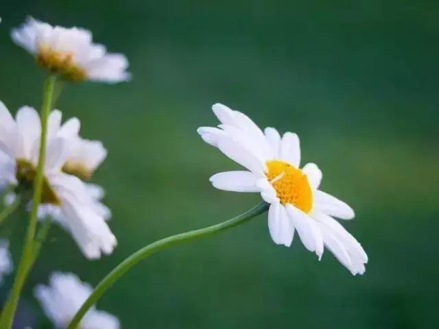 挑担水