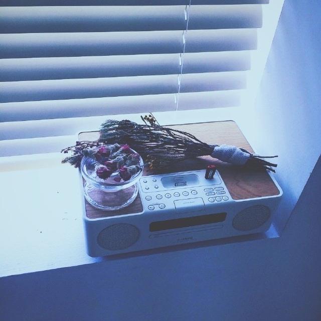 避暑山庄命名及广告语