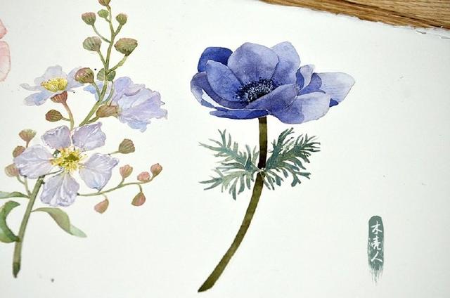 帘卷西风，人比花瘦