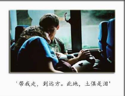 夏天的眼泪
