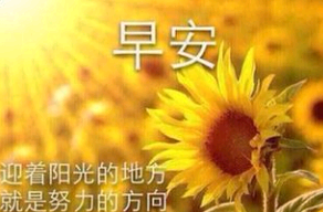 失恋伤感唯美英语句子签名 The