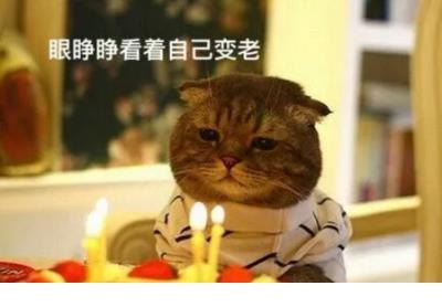 我的爸爸作文300字