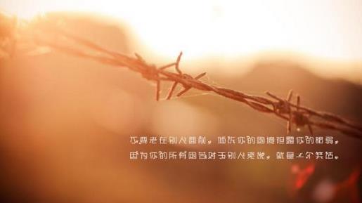 自己的爱情只有自己懂
