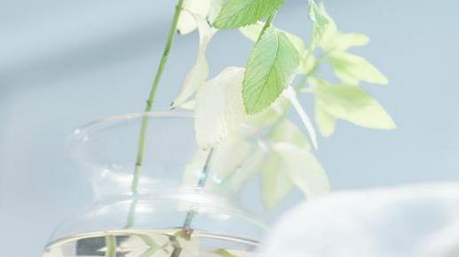 2021年愚人节搞笑的个性签名大全