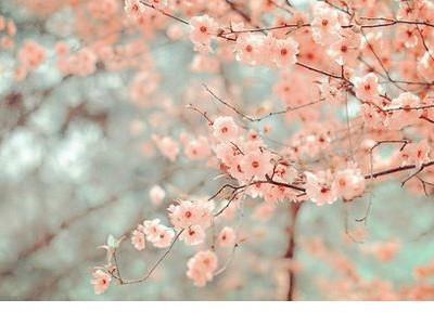 男生qq个性签名兄弟、兄弟生前一起闯荡