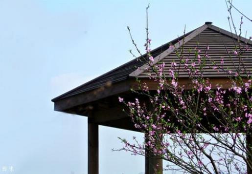 微信情侣签名一对甜蜜 The
