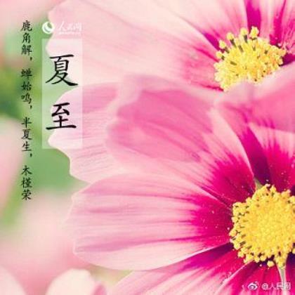 关于忘不掉一个人的感伤个性签名