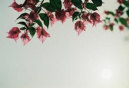 觉得自己可笑的个性签名 不但没看到彩虹