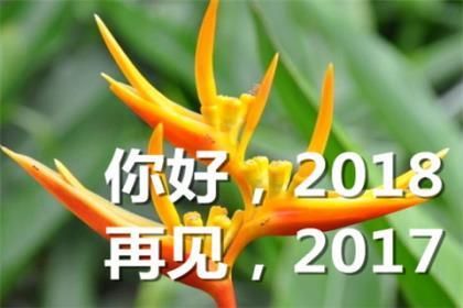 超有爱的QQ签名、我爱你是真心话