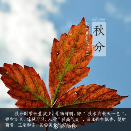 让人心动的表白_更加珍惜你!