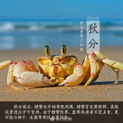 扣扣搞笑签名大全--看见老人摔倒