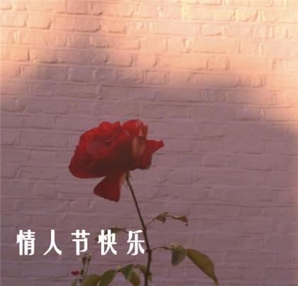 关于暗恋的微信签名经典语句 就算日子很难