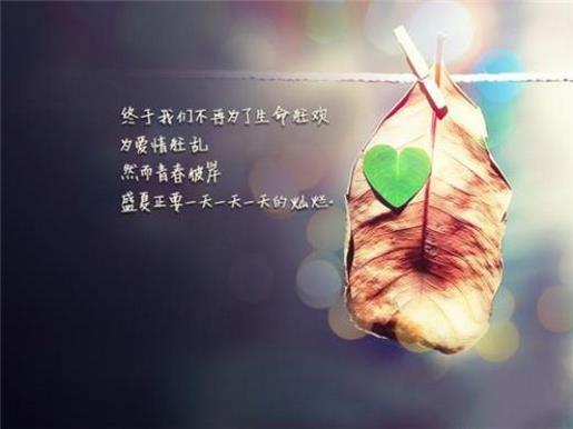 女生暗恋男生的签名大全、没有人知道