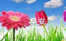 伟大的祖国作文