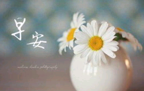 我看到了阳光