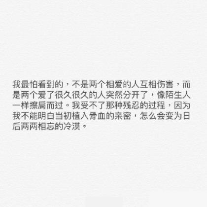 板栗的宣传语言