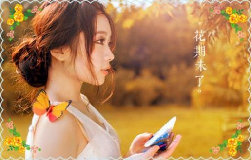 关于感恩的文章