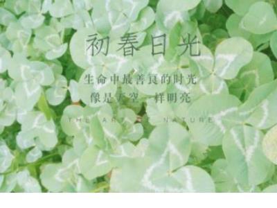 登山作文