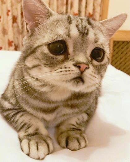 春风十里不如有你