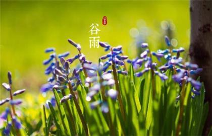 科技改变生活作文