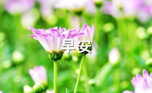 羽绒服品牌广告语、宣传语