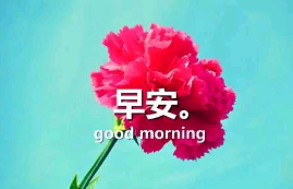 扫烈士墓的感受