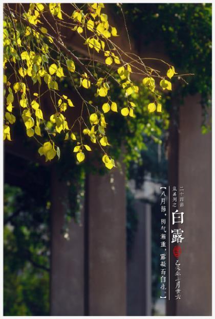 “五一”回娘家