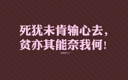 一语惊人——雅丽洁创意广告语