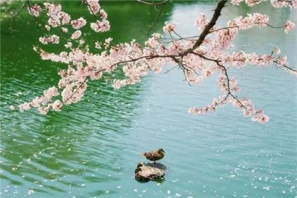 恶是犁头 善是泥 善人常被恶人欺 铁打犁头年年坏 未见田中换烂泥