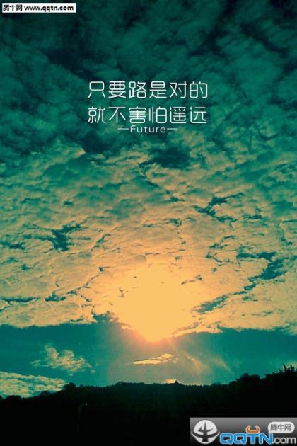 可利尔罗布麻袜子广告语、宣传语