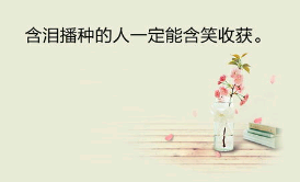 春寻一树梅