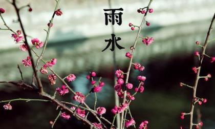 漫画老师作文
