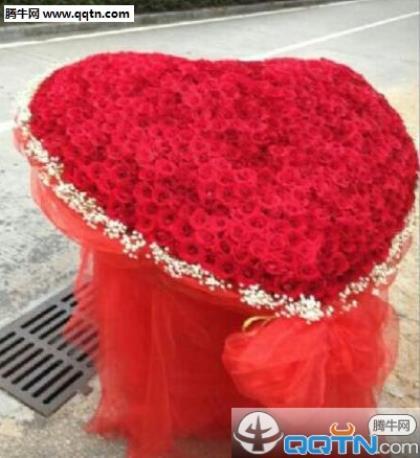 冬，意蕴不尽的情愫