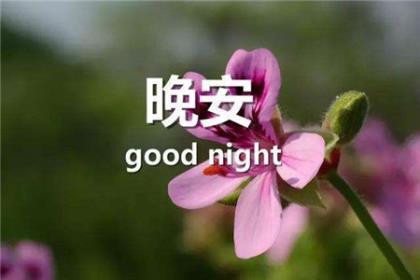 种麦子