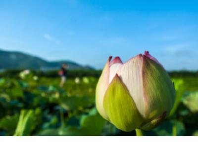 苏格拉底：有趣的灵魂如何养成？