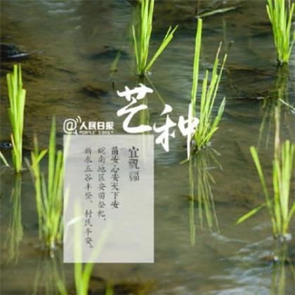 别睡太晚，别爱太满，别要太多包头发布