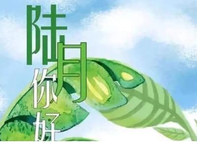 重阳节：别让爱缺席，大声说出你的爱！