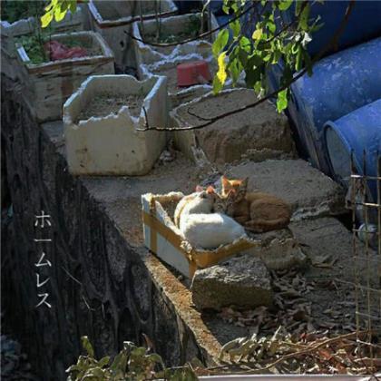 微小说：天价的微笑