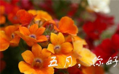 交往作文
