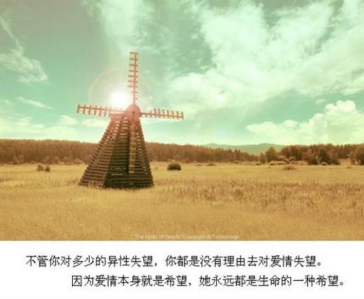悲红尘，醉别昨日情难终