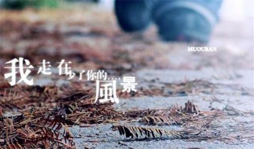 给老师的一封信