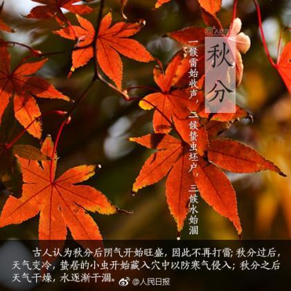 启示作文