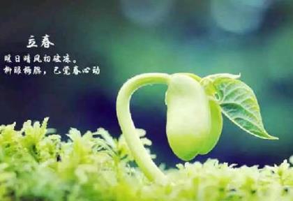 浮生的联想