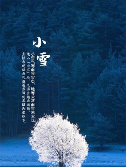 玉兔捣药的故事